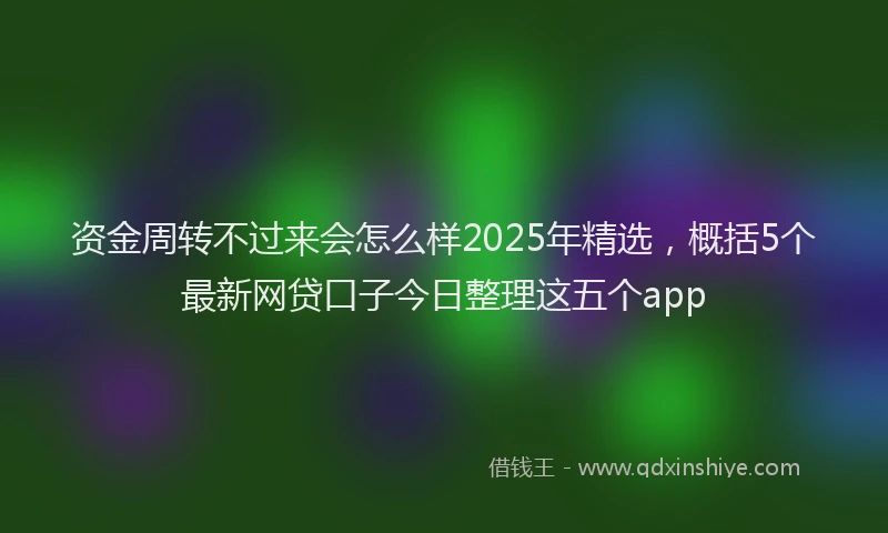 资金周转不过来会怎么样2025年精选，概括5个最新网贷口子今日整理这五个app