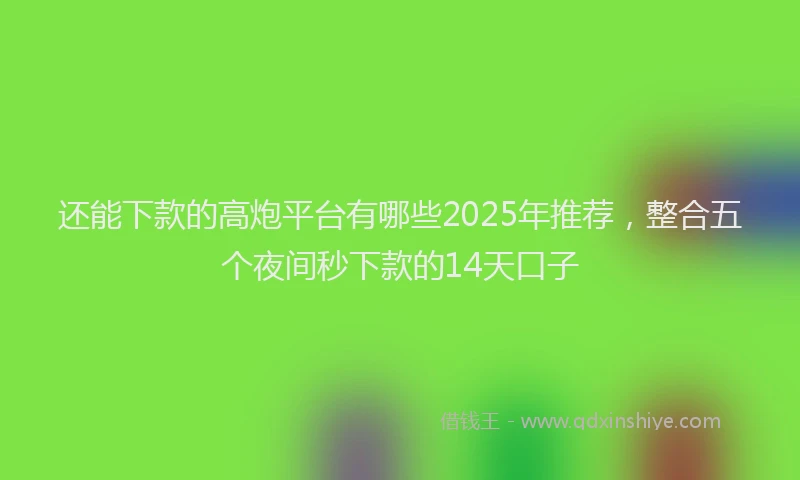 还能下款的高炮平台有哪些2025年推荐，整合五个夜间秒下款的14天口子