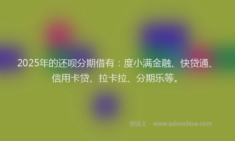 2025年的还呗分期借有：度小满金融、快贷通、信用卡贷、拉卡拉、分期乐等。