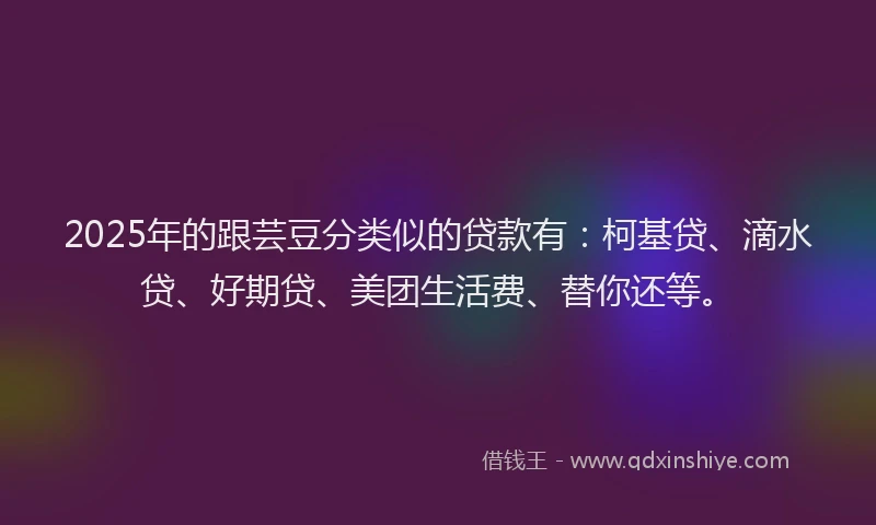 2025年的跟芸豆分类似的贷款有：柯基贷、滴水贷、好期贷、美团生活费、替你还等。