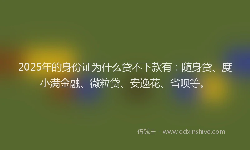2025年的身份证为什么贷不下款有：随身贷、度小满金融、微粒贷、安逸花、省呗等。