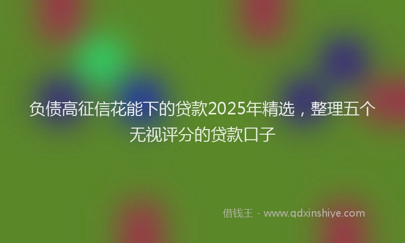 负债高征信花能下的贷款2025年精选，整理五个无视评分的贷款口子