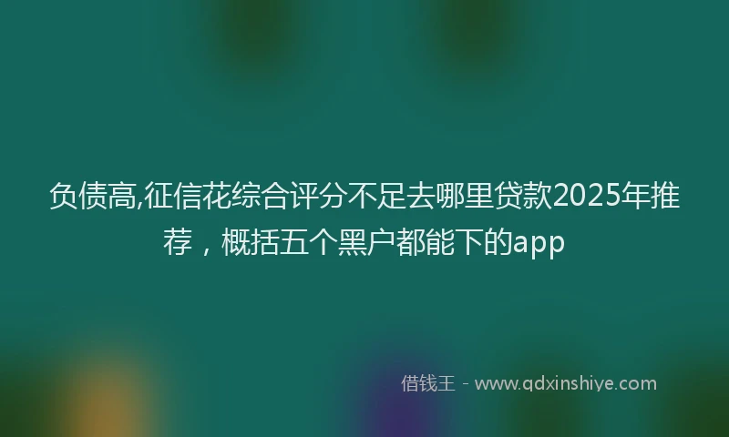 负债高,征信花综合评分不足去哪里贷款2025年推荐，概括五个黑户都能下的app