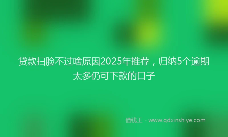 贷款扫脸不过啥原因2025年推荐，归纳5个逾期太多仍可下款的口子