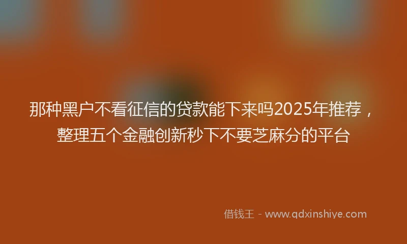 那种黑户不看征信的贷款能下来吗2025年推荐，整理五个金融创新秒下不要芝麻分的平台