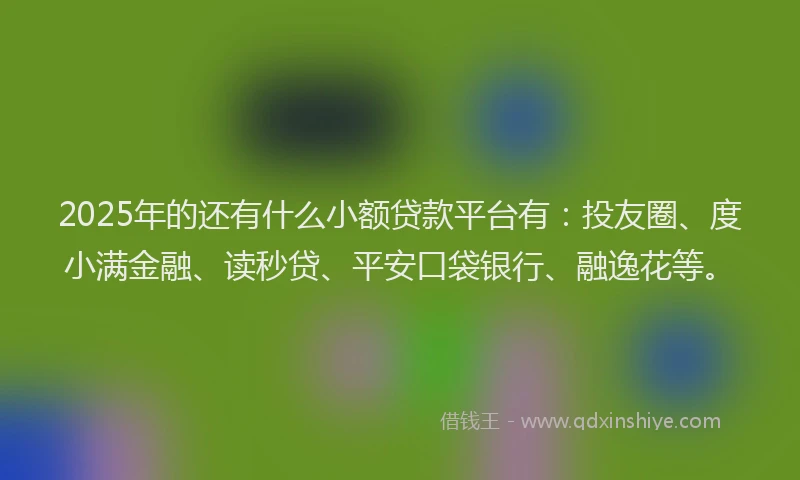2025年的还有什么小额贷款平台有：投友圈、度小满金融、读秒贷、平安口袋银行、融逸花等。