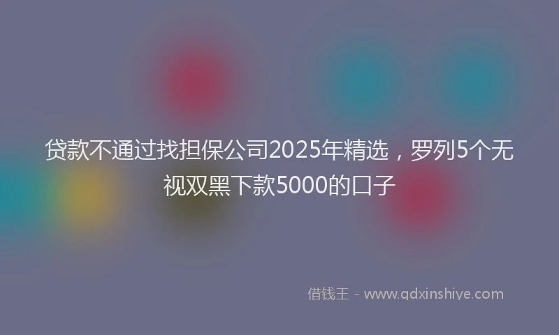 贷款不通过找担保公司2025年精选，罗列5个无视双黑下款5000的口子