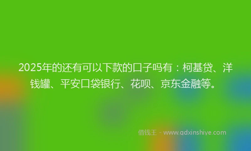 2025年的还有可以下款的口子吗有：柯基贷、洋钱罐、平安口袋银行、花呗、京东金融等。