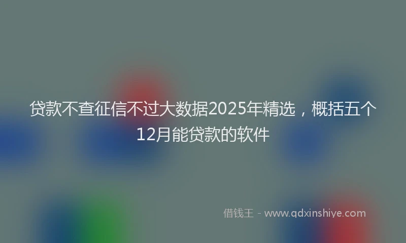 贷款不查征信不过大数据2025年精选，概括五个12月能贷款的软件