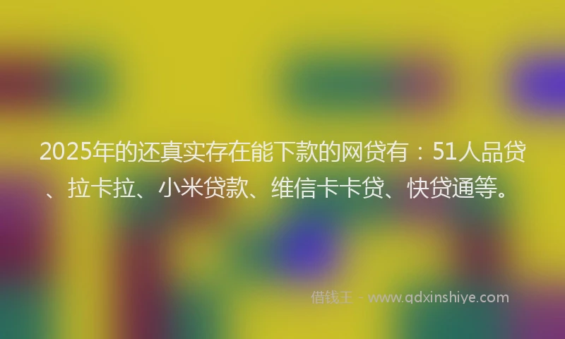 2025年的还真实存在能下款的网贷有：51人品贷、拉卡拉、小米贷款、维信卡卡贷、快贷通等。