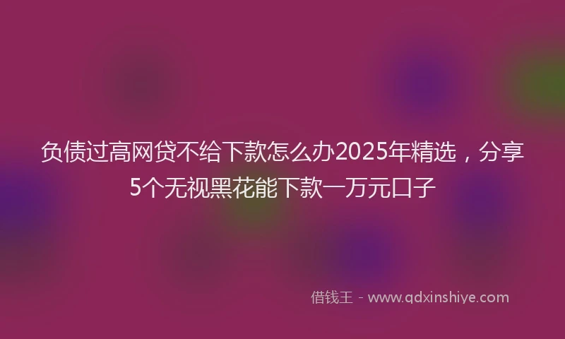 负债过高网贷不给下款怎么办2025年精选，分享5个无视黑花能下款一万元口子