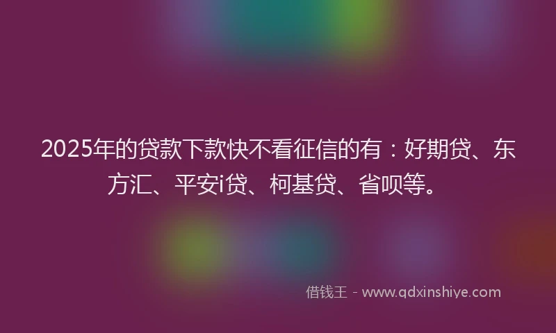 2025年的贷款下款快不看征信的有：好期贷、东方汇、平安i贷、柯基贷、省呗等。