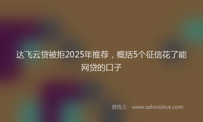 达飞云贷被拒2025年推荐，概括5个征信花了能网贷的口子