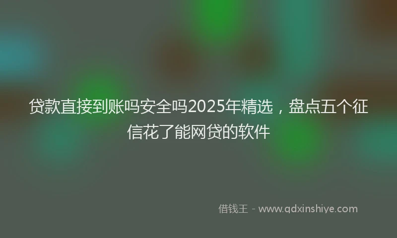 贷款直接到账吗安全吗2025年精选，盘点五个征信花了能网贷的软件