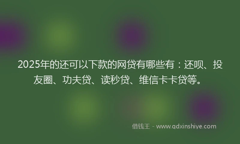 2025年的还可以下款的网贷有哪些有：还呗、投友圈、功夫贷、读秒贷、维信卡卡贷等。