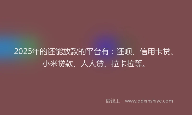 2025年的还能放款的平台有：还呗、信用卡贷、小米贷款、人人贷、拉卡拉等。