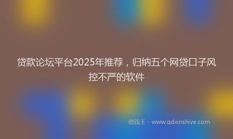 贷款论坛平台2025年推荐，归纳五个网贷口子风控不严的软件