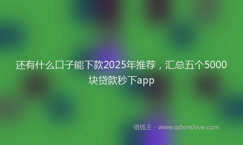 还有什么口子能下款2025年推荐，汇总五个5000块贷款秒下app