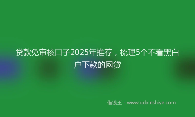 贷款免审核口子2025年推荐，梳理5个不看黑白户下款的网贷