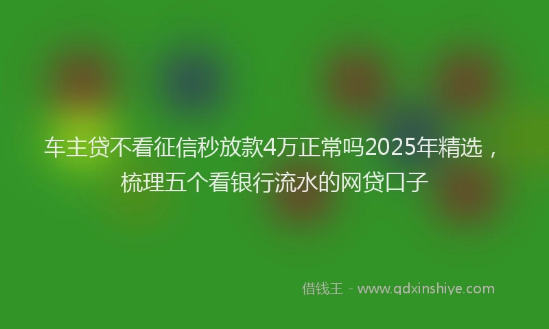 车主贷不看征信秒放款4万正常吗2025年精选，梳理五个看银行流水的网贷口子