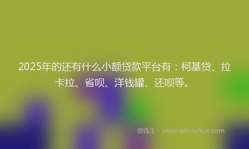 2025年的还有什么小额贷款平台有：柯基贷、拉卡拉、省呗、洋钱罐、还呗等。