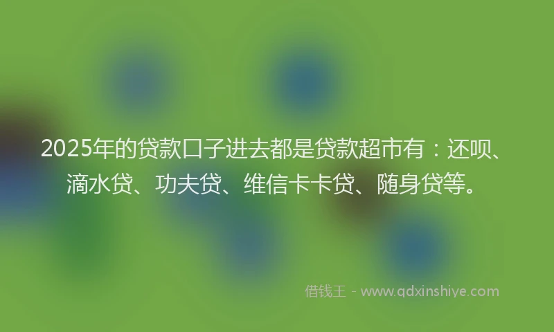 2025年的贷款口子进去都是贷款超市有：还呗、滴水贷、功夫贷、维信卡卡贷、随身贷等。