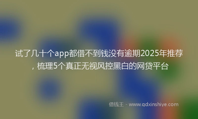 试了几十个app都借不到钱没有逾期2025年推荐，梳理5个真正无视风控黑白的网贷平台