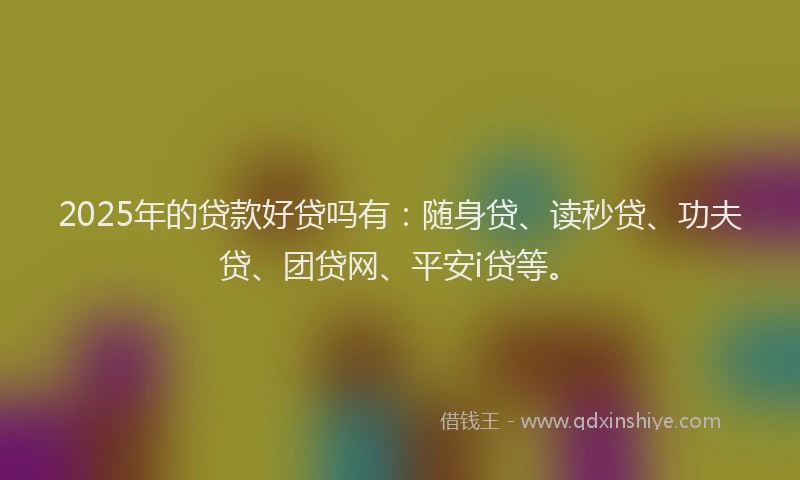 2025年的贷款好贷吗有：随身贷、读秒贷、功夫贷、团贷网、平安i贷等。
