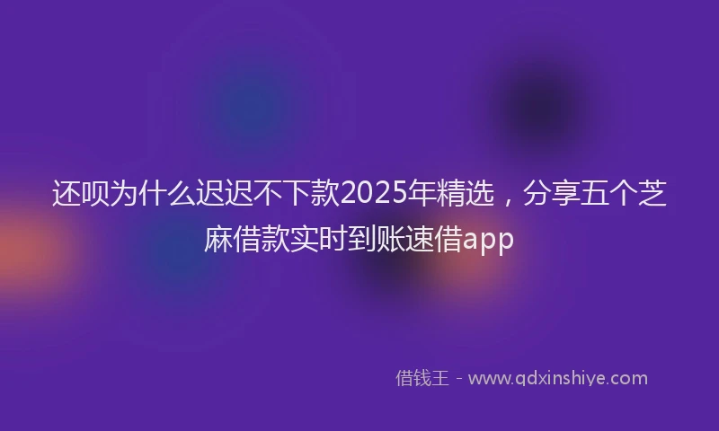 还呗为什么迟迟不下款2025年精选，分享五个芝麻借款实时到账速借app