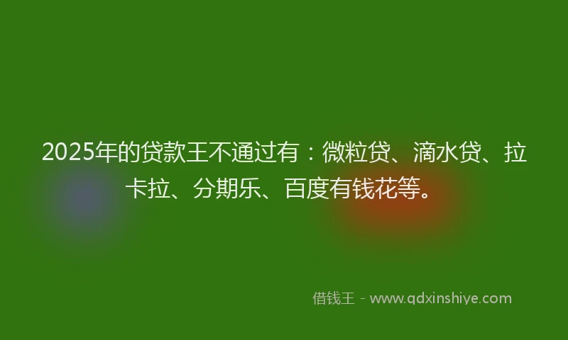 2025年的贷款王不通过有：微粒贷、滴水贷、拉卡拉、分期乐、百度有钱花等。