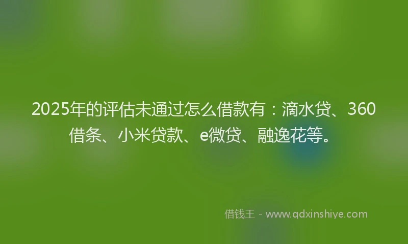 2025年的评估未通过怎么借款有：滴水贷、360借条、小米贷款、e微贷、融逸花等。