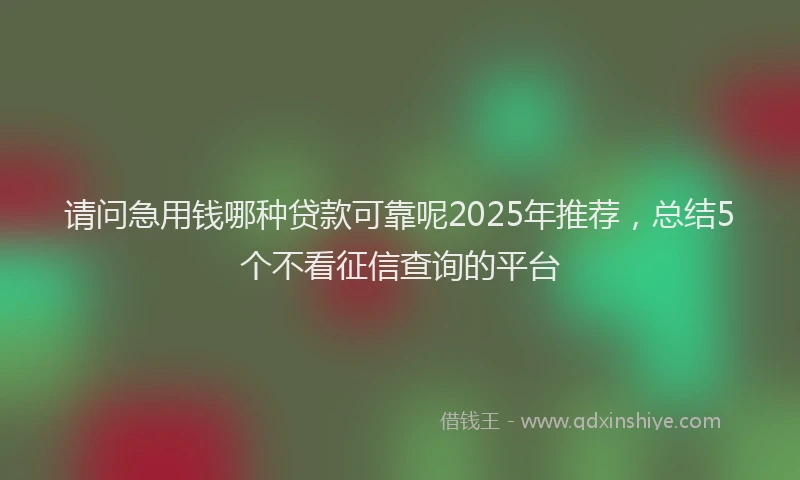 请问急用钱哪种贷款可靠呢2025年推荐，总结5个不看征信查询的平台