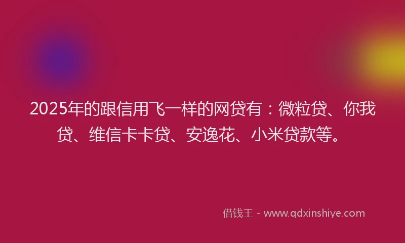 2025年的跟信用飞一样的网贷有：微粒贷、你我贷、维信卡卡贷、安逸花、小米贷款等。