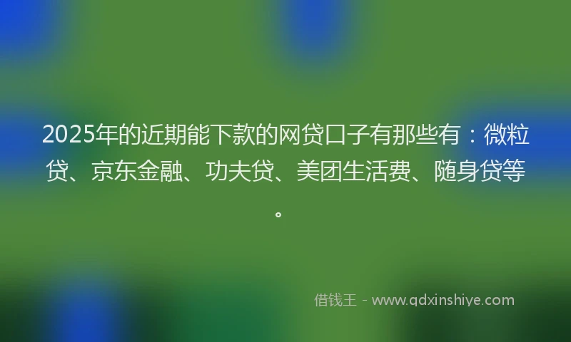 2025年的近期能下款的网贷口子有那些有：微粒贷、京东金融、功夫贷、美团生活费、随身贷等。
