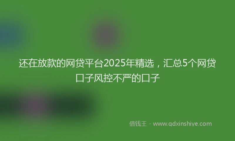 还在放款的网贷平台2025年精选，汇总5个网贷口子风控不严的口子