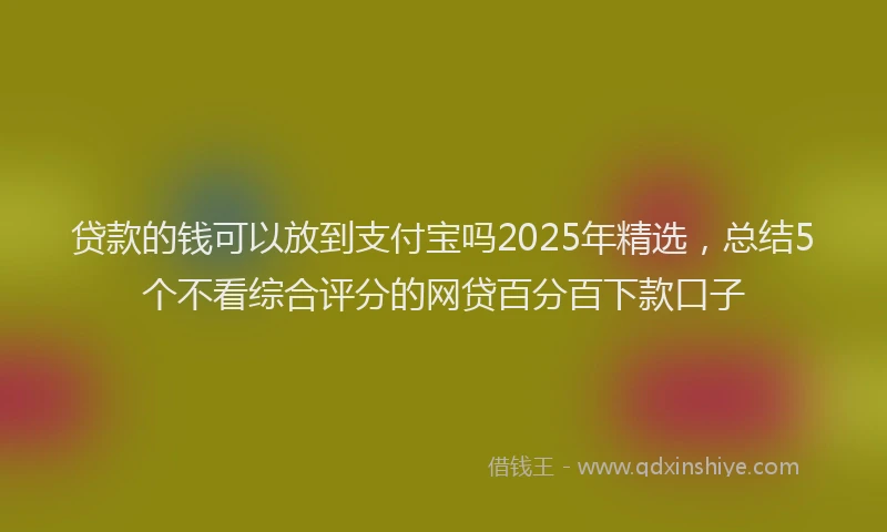 贷款的钱可以放到支付宝吗2025年精选，总结5个不看综合评分的网贷百分百下款口子