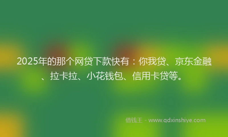 2025年的那个网贷下款快有：你我贷、京东金融、拉卡拉、小花钱包、信用卡贷等。