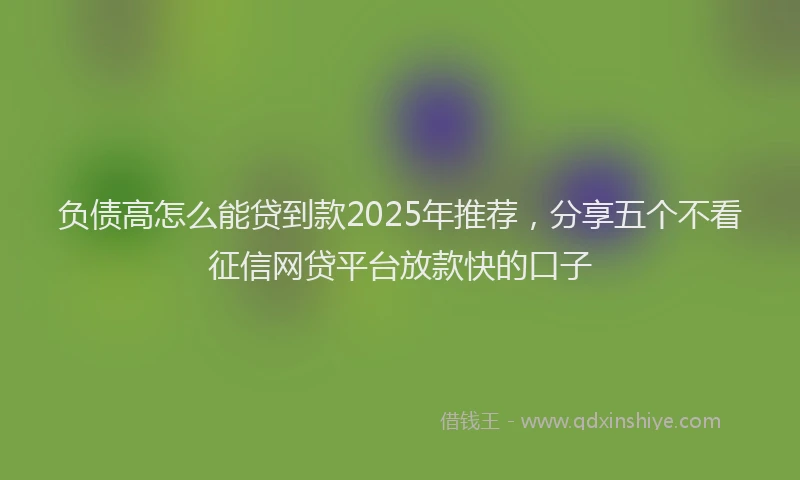 负债高怎么能贷到款2025年推荐，分享五个不看征信网贷平台放款快的口子