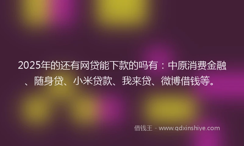 2025年的还有网贷能下款的吗有：中原消费金融、随身贷、小米贷款、我来贷、微博借钱等。