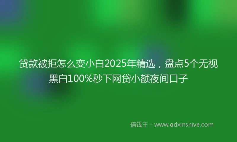 贷款被拒怎么变小白2025年精选，盘点5个无视黑白100%秒下网贷小额夜间口子