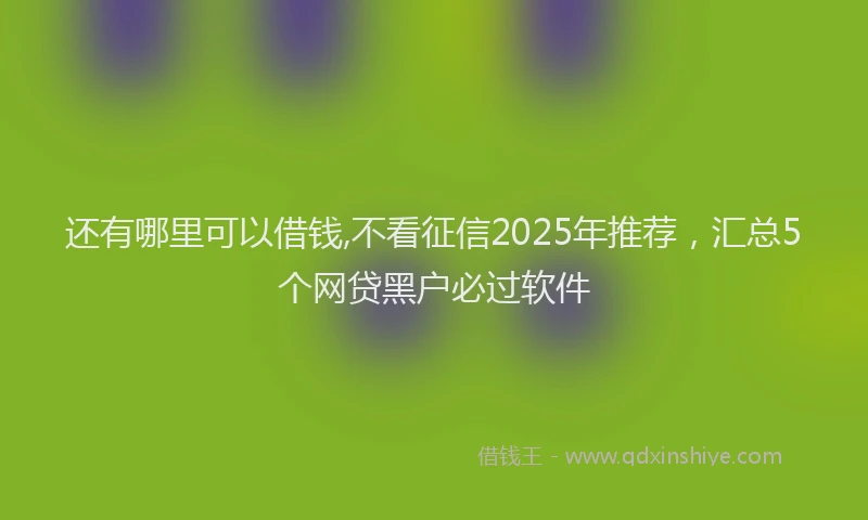 还有哪里可以借钱,不看征信2025年推荐，汇总5个网贷黑户必过软件