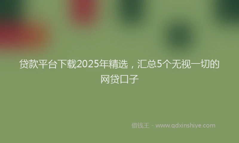 贷款平台下载2025年精选，汇总5个无视一切的网贷口子
