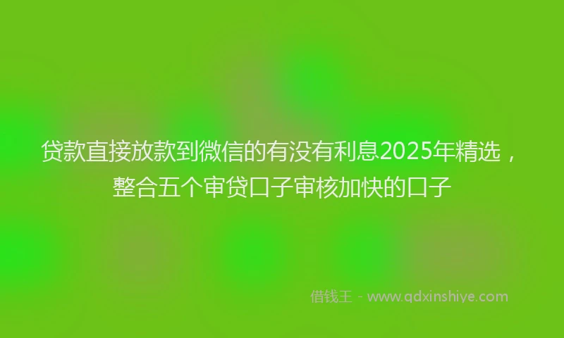 贷款直接放款到微信的有没有利息2025年精选，整合五个审贷口子审核加快的口子