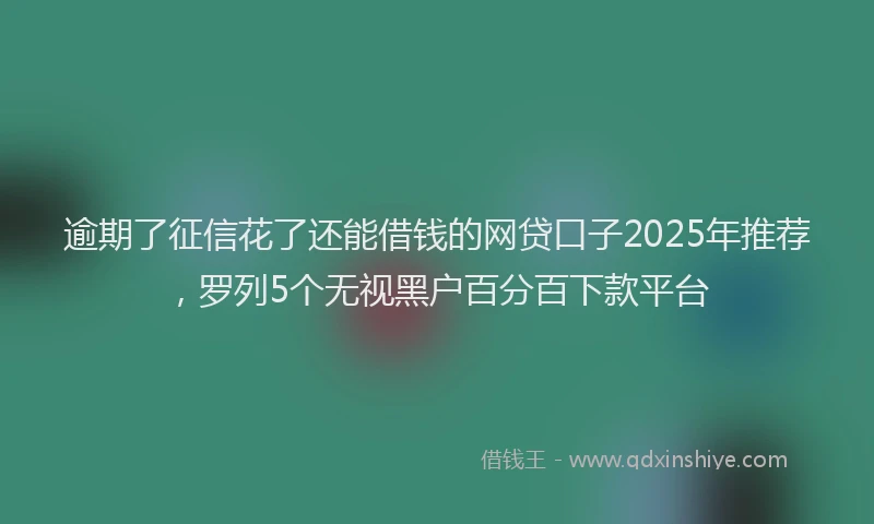 逾期了征信花了还能借钱的网贷口子2025年推荐，罗列5个无视黑户百分百下款平台