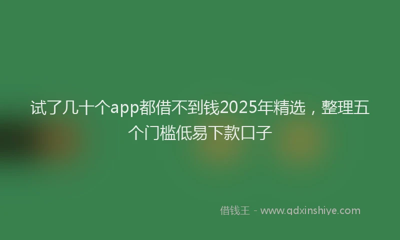 试了几十个app都借不到钱2025年精选，整理五个门槛低易下款口子