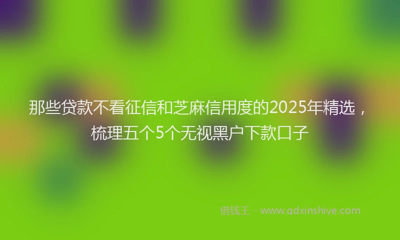 那些贷款不看征信和芝麻信用度的2025年精选，梳理五个5个无视黑户下款口子