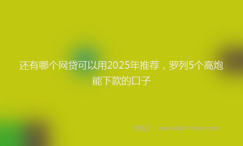 还有哪个网贷可以用2025年推荐，罗列5个高炮能下款的口子
