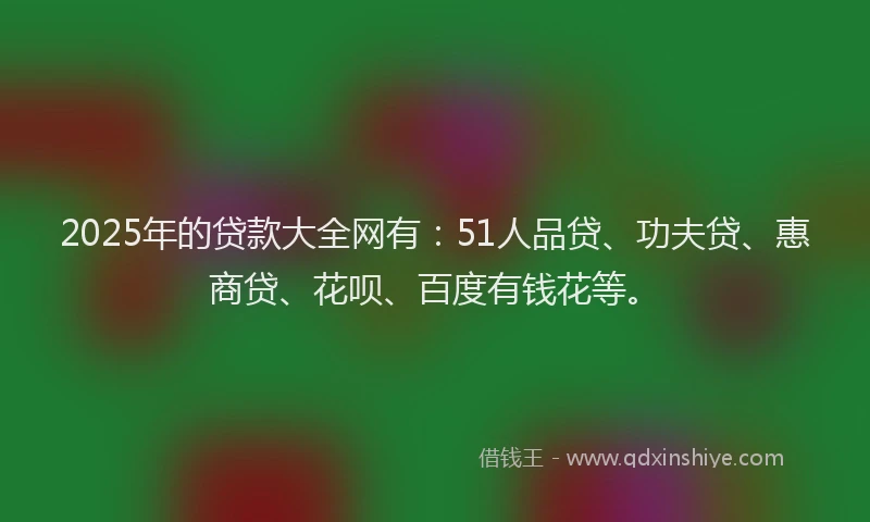 2025年的贷款大全网有：51人品贷、功夫贷、惠商贷、花呗、百度有钱花等。