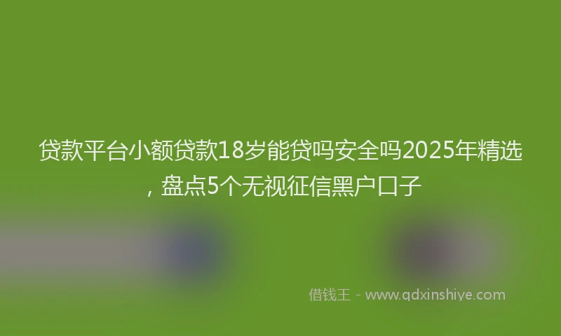 贷款平台小额贷款18岁能贷吗安全吗2025年精选，盘点5个无视征信黑户口子