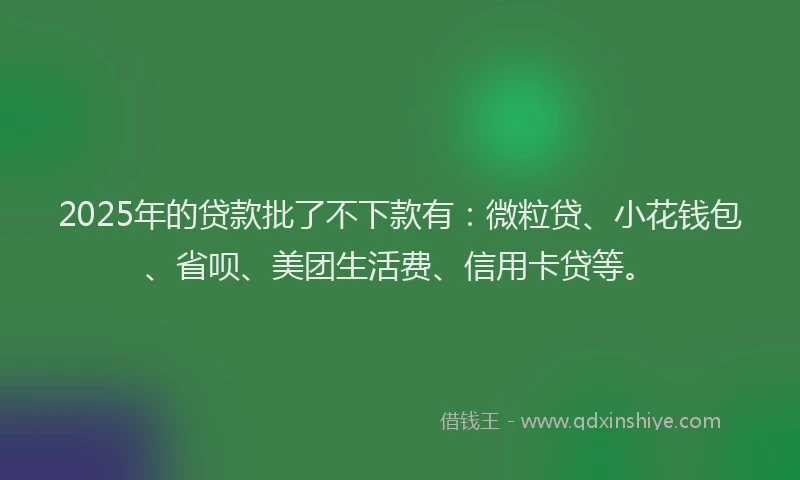 2025年的贷款批了不下款有：微粒贷、小花钱包、省呗、美团生活费、信用卡贷等。